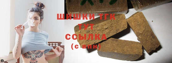 гашик Михайлов
