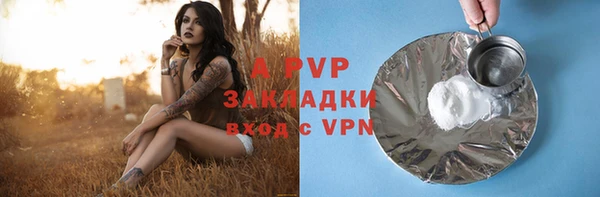 гашик Михайлов