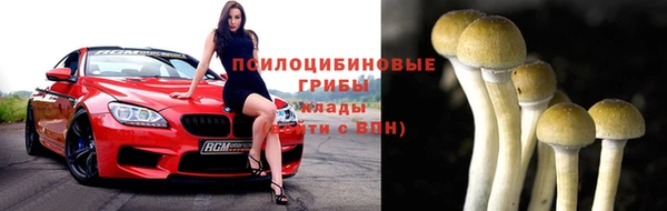 гашик Михайлов