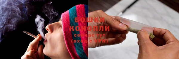 гашик Михайлов