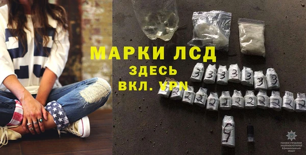 гашик Михайлов
