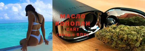 гашик Михайлов