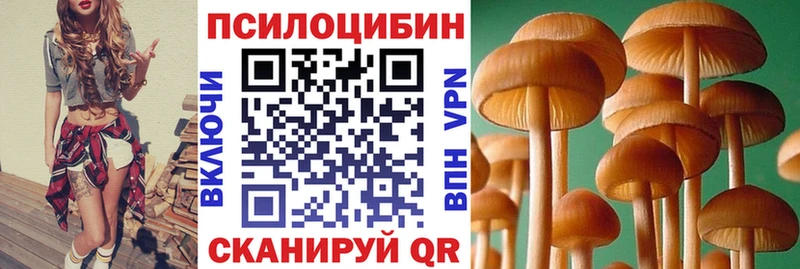 Псилоцибиновые грибы Psilocybine cubensis  закладки  Медвежьегорск 