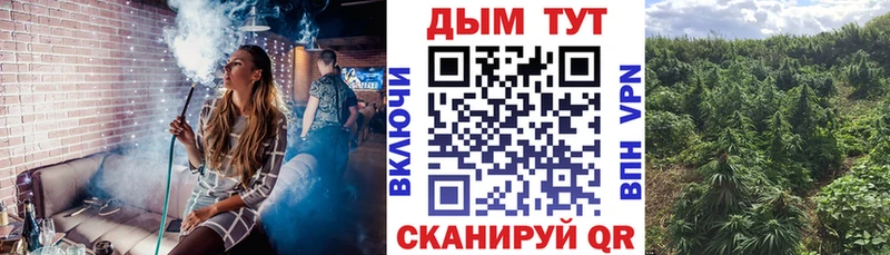 Канабис OG Kush Медвежьегорск